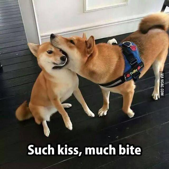 such kiss, much bite.jpg